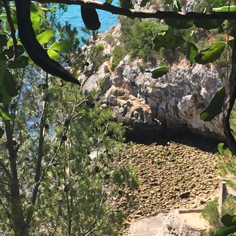 Casa Do Farol Da Arrabida Villa Portinho da Arrábida Eksteriør billede