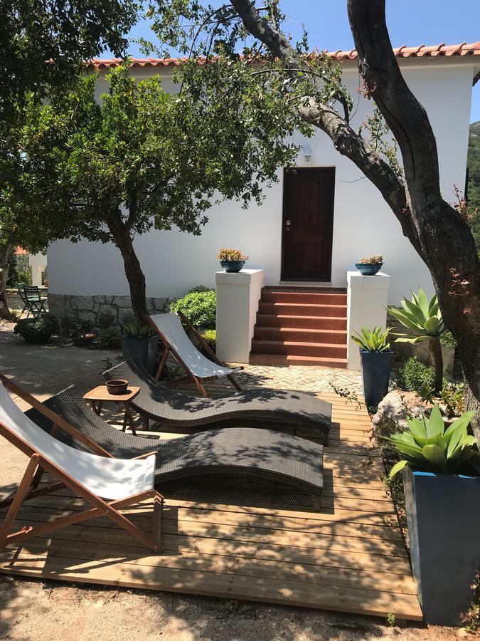Casa Do Farol Da Arrabida Villa Portinho da Arrábida Eksteriør billede